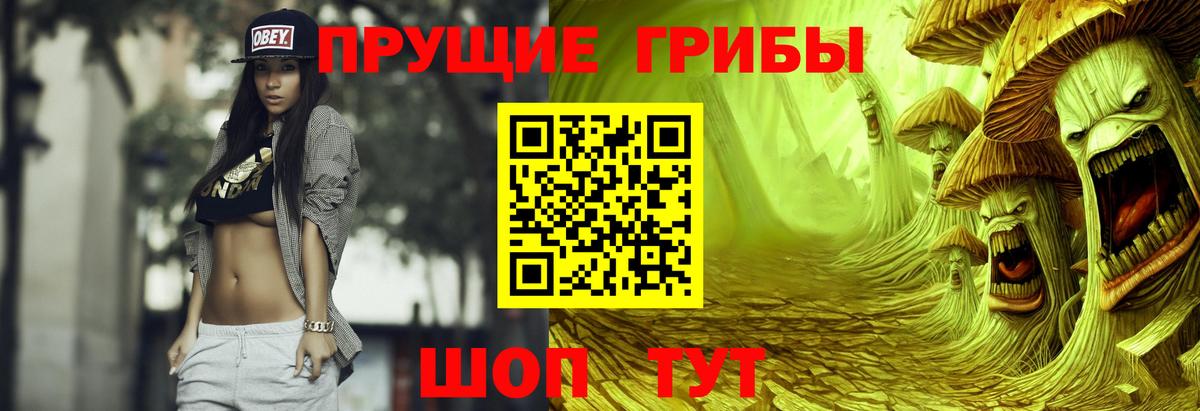 Галлюциногенные грибы MAGIC MUSHROOMS Азнакаево